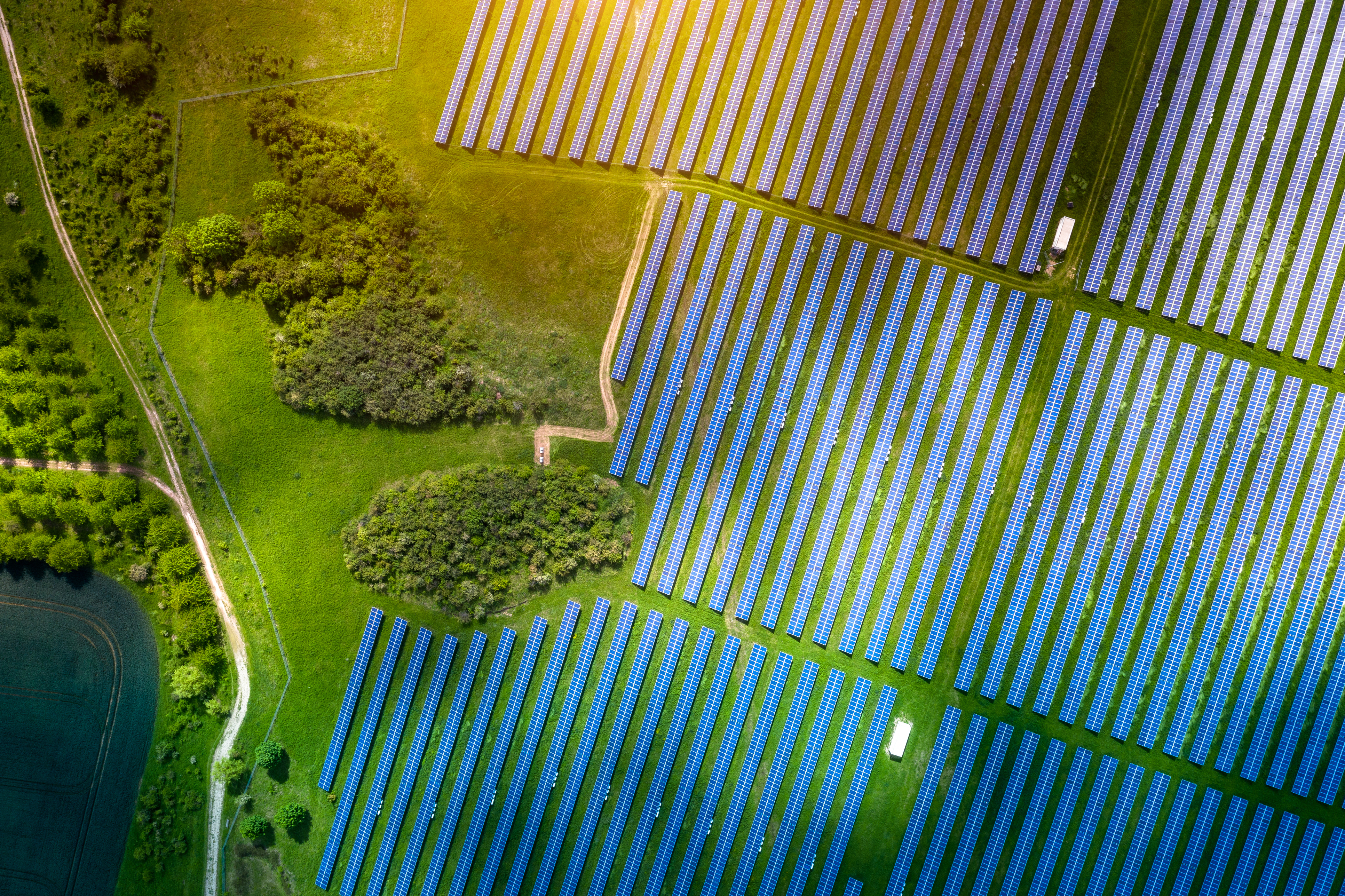 Aerial view of a large solar farm with rows of solar panels on green fields, bordered by lush trees and a sunlit landscape, showcasing renewable energy and sustainable technology