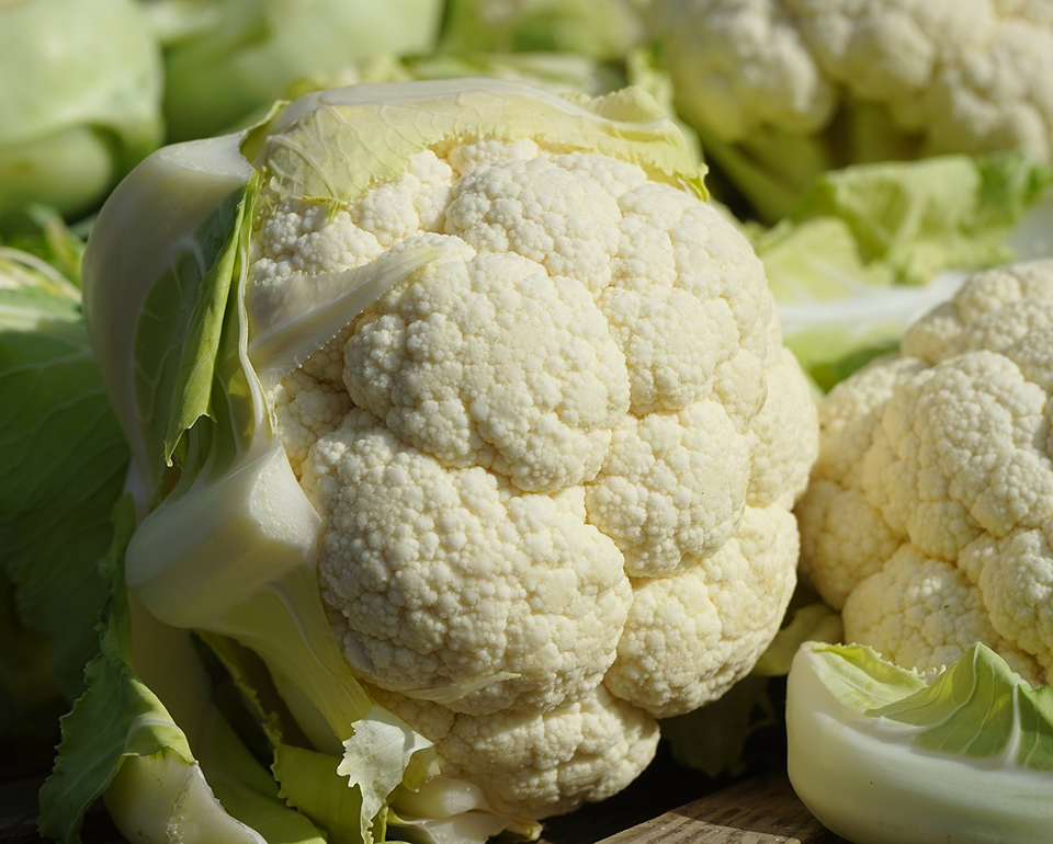 close-up of a cauliflower