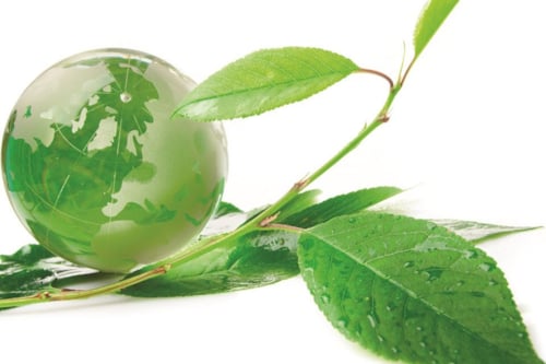 Green globe CSR