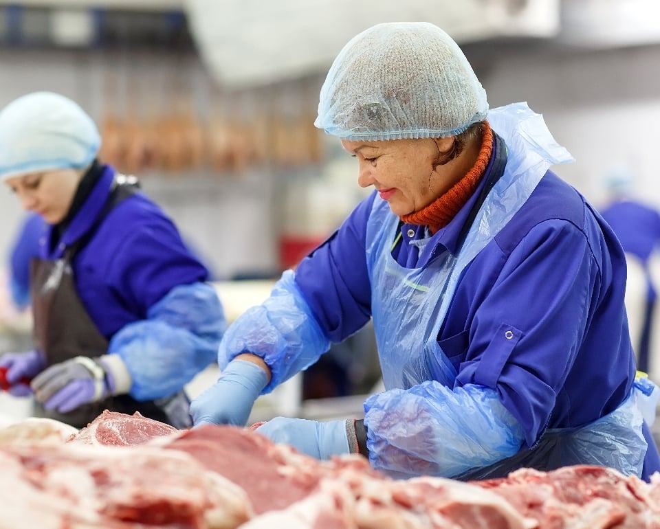 Sistemas de Gectión 9001