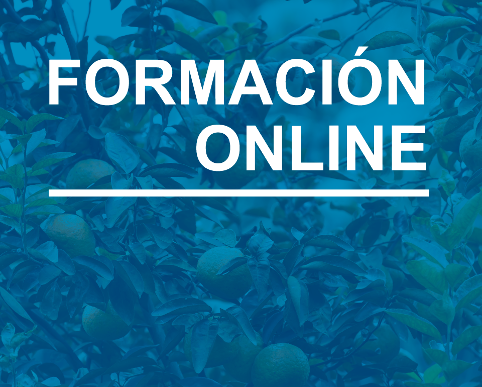 Portada formación online
