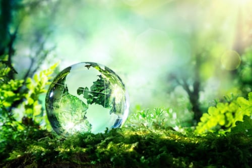 Globe in green landscape