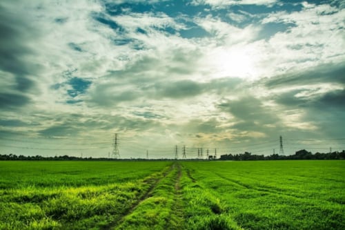 Expansive green field under a cloudy sky with power lines in the distance, capturing a serene rural landscape