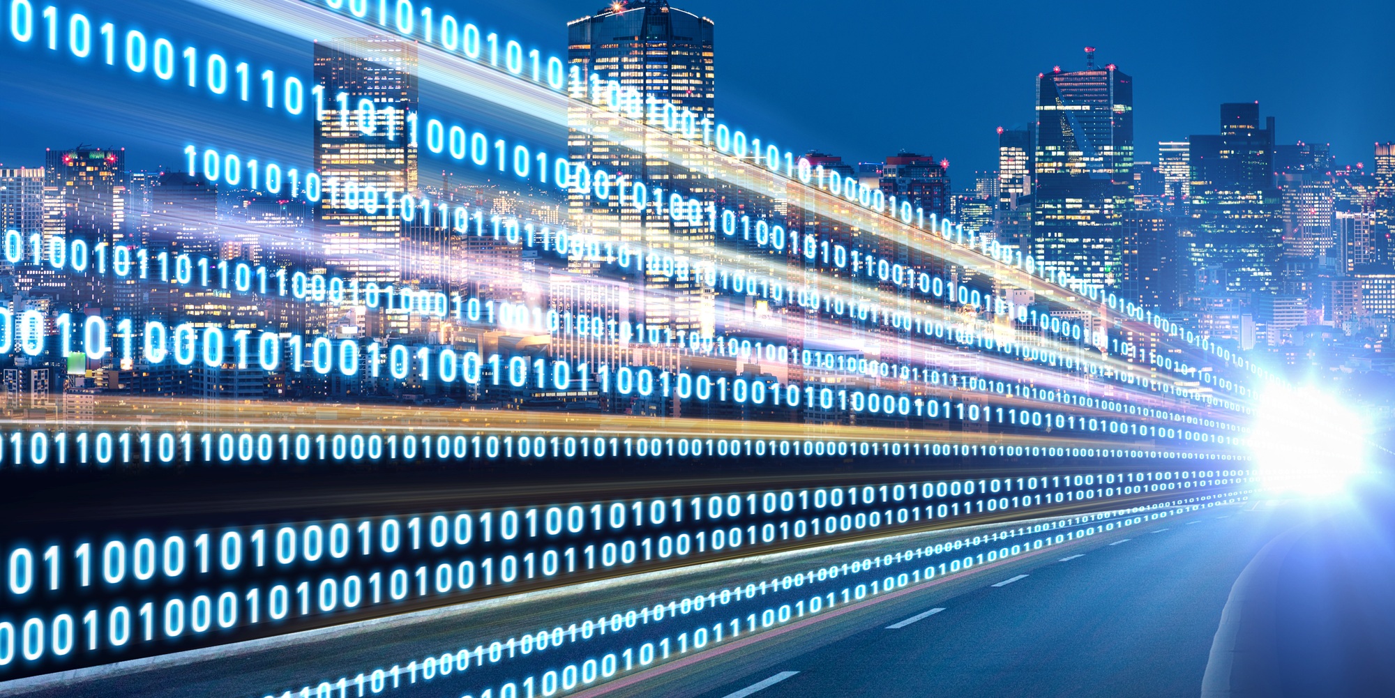 Cyber Security Professional