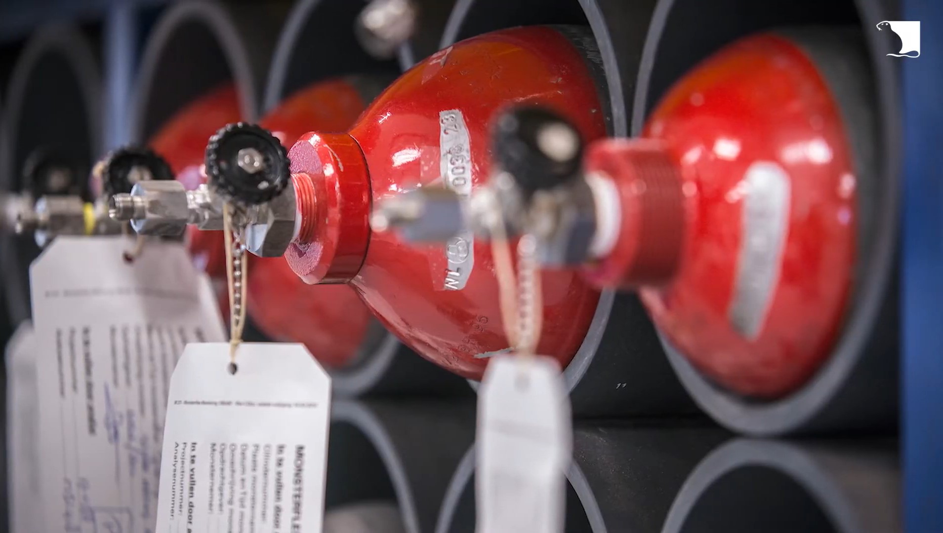 Screenshot video: Energietransitie biogas en groengas