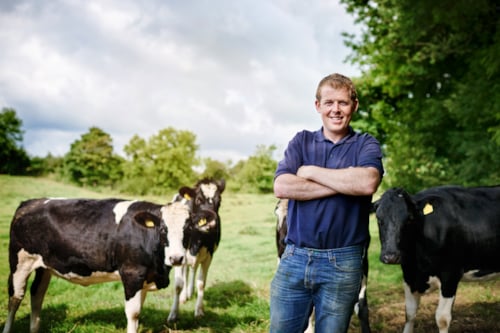 Proud farmer standing in the fields amongst 4 of his black and white colored cows
